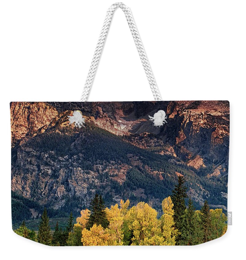 Dave Welling Weekender Tote Bag featuring the photograph Cottonwoods Fir Trees Fall Color Grand Tetons Nat by Dave Welling