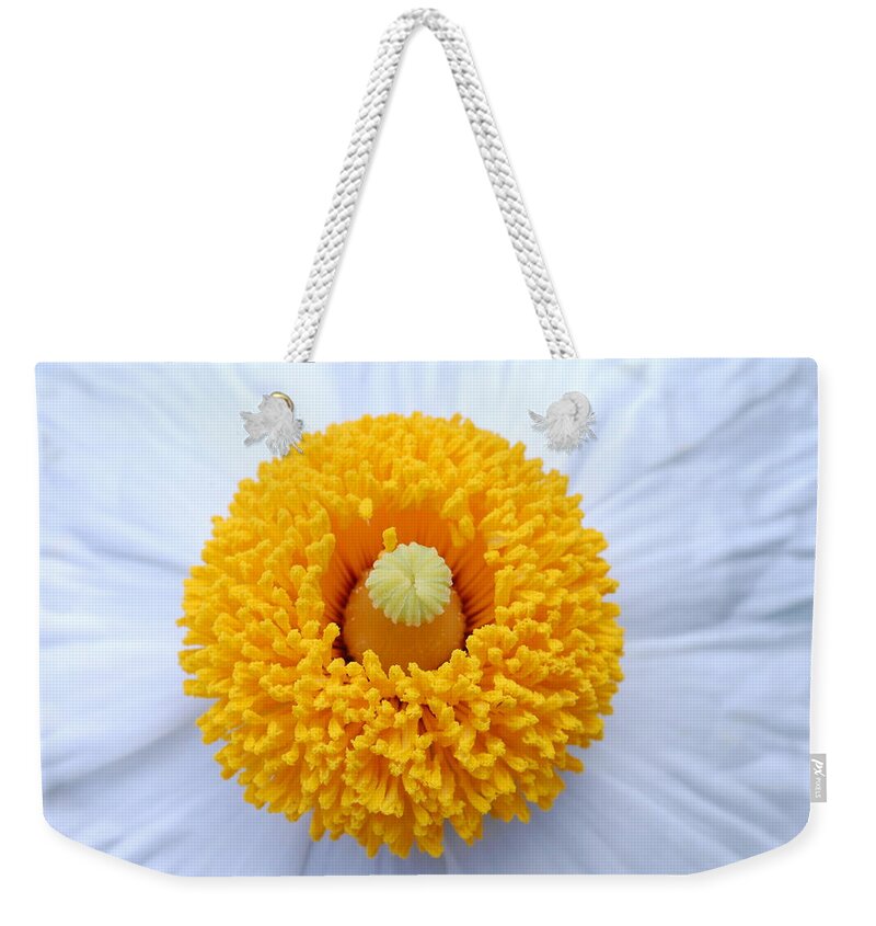 Flower Weekender Tote Bag featuring the photograph Coulter's Poppy 2 by Amy Fose