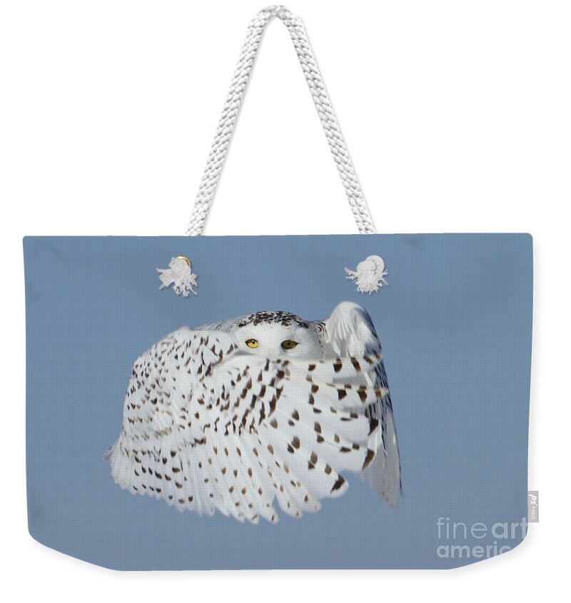 Snowy Owls Weekender Tote Bag featuring the photograph Countess Snowy by Heather King