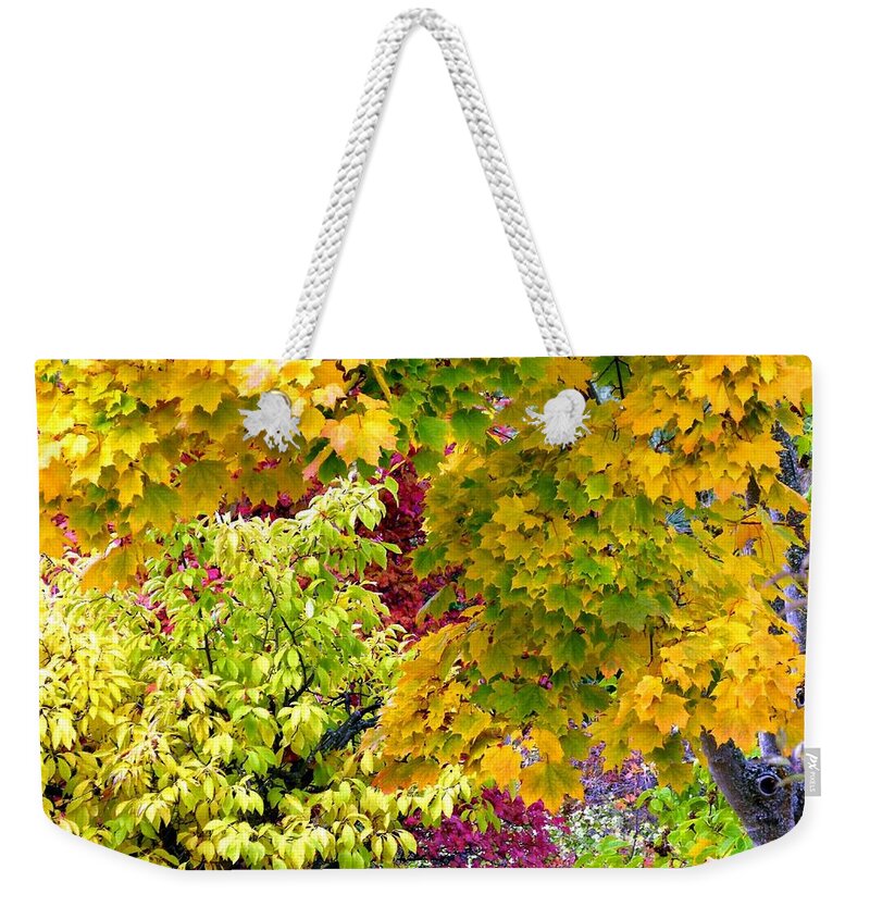 Autumn Weekender Tote Bag featuring the photograph Country Color 15 by Will Borden