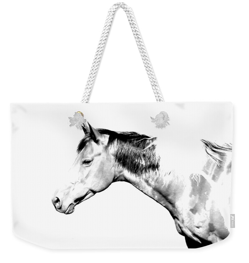 Country Weekender Tote Bag featuring the photograph Country Horse Whiteout by Morgan Carter