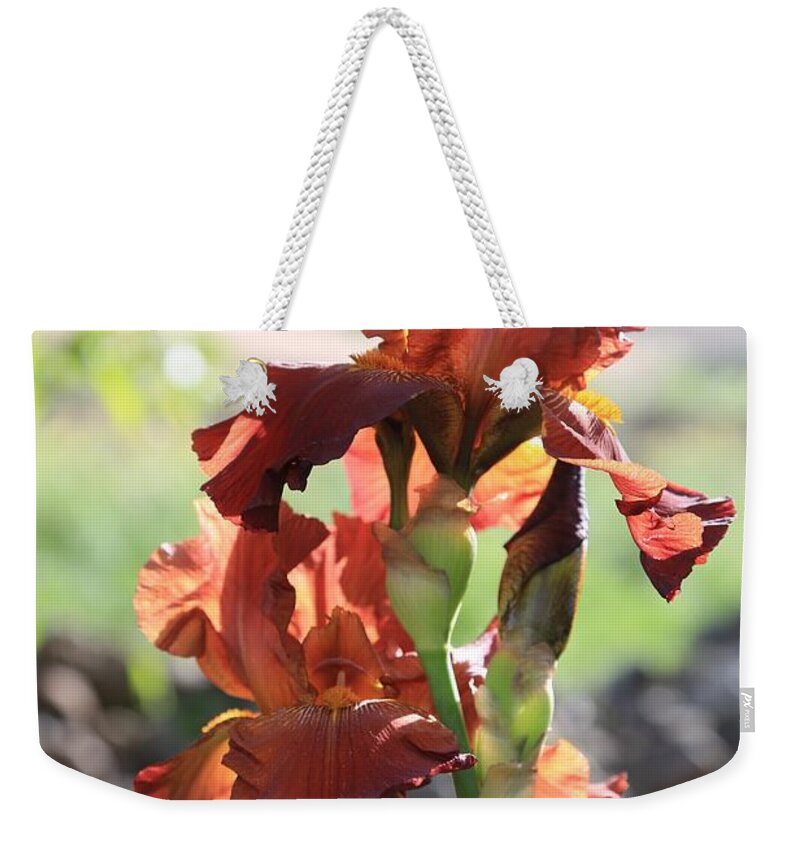 Iris Weekender Tote Bag featuring the photograph Country Iris by Carol Groenen