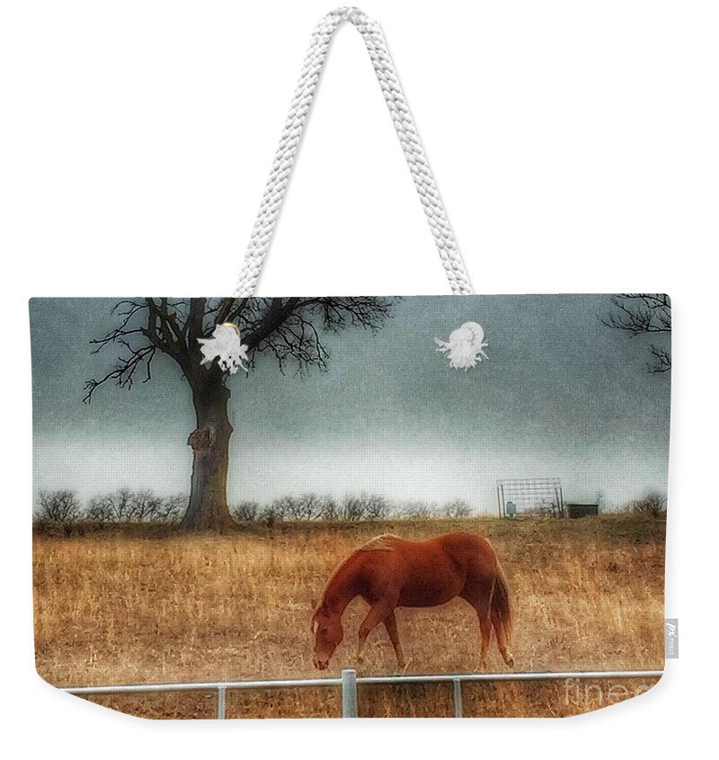 1000 Views Weekender Tote Bag featuring the photograph County Road 4100 by Jenny Revitz Soper