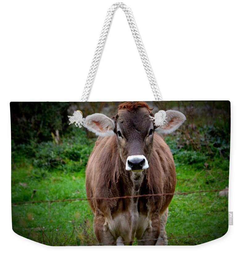 Cow Weekender Tote Bag featuring the photograph Cowlick by Kimberly Woyak