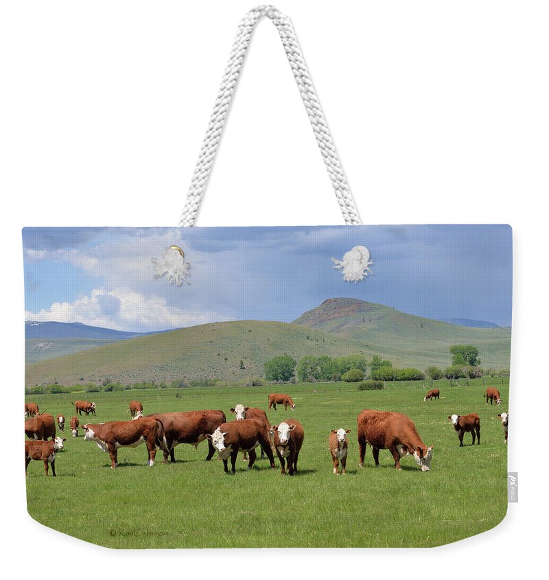 Cows Weekender Tote Bag featuring the photograph Cows and Calves by Kae Cheatham