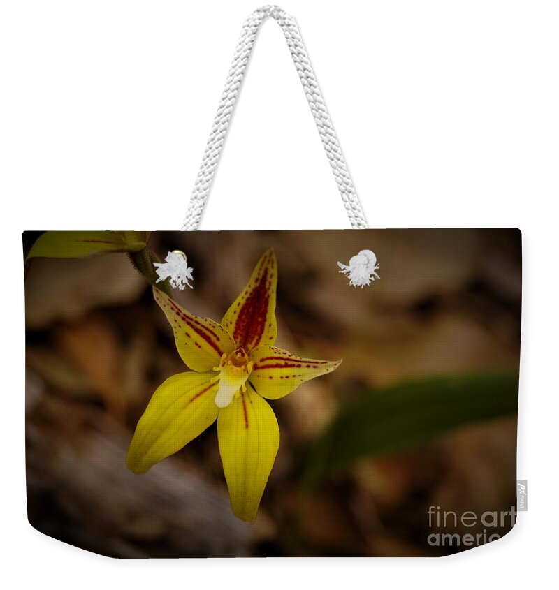 Cowslip Weekender Tote Bag featuring the photograph Cowslip Orchid by Cassandra Buckley