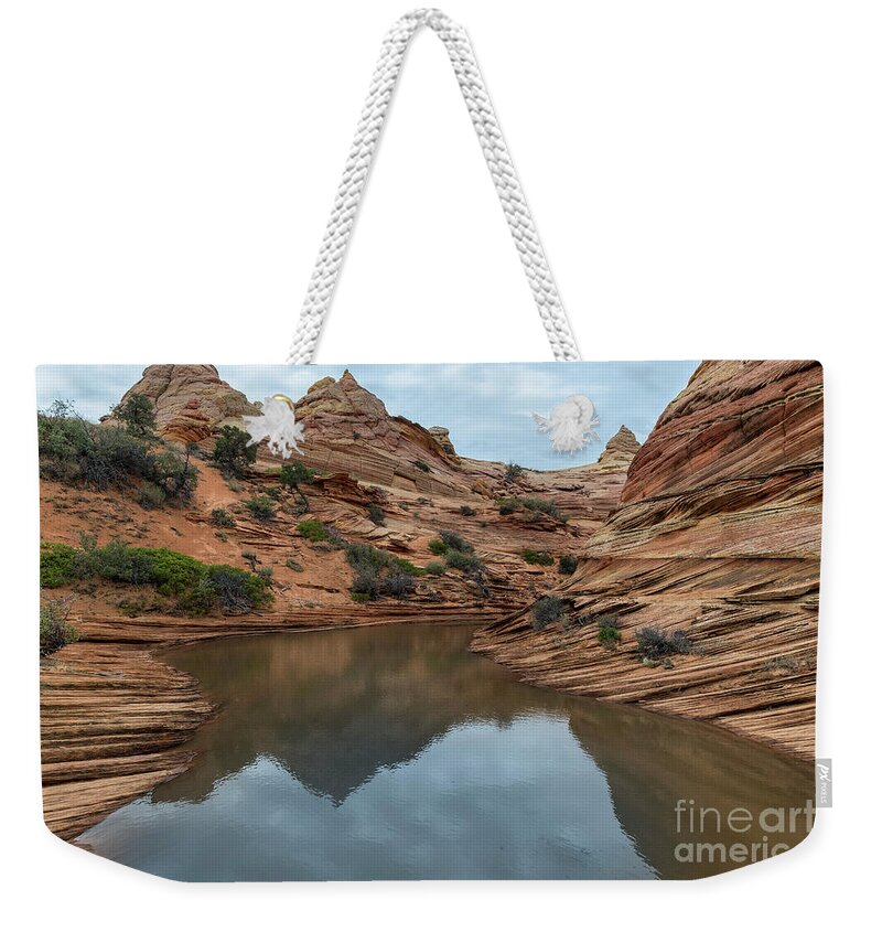 Southwest Weekender Tote Bag featuring the photograph Coyote Buttes Morning by Sandra Bronstein