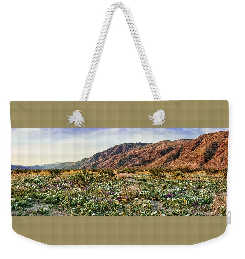 Coyote Canyon Sweet Light Weekender Tote Bag featuring the photograph Coyote Canyon Sweet Light by Daniel Hebard