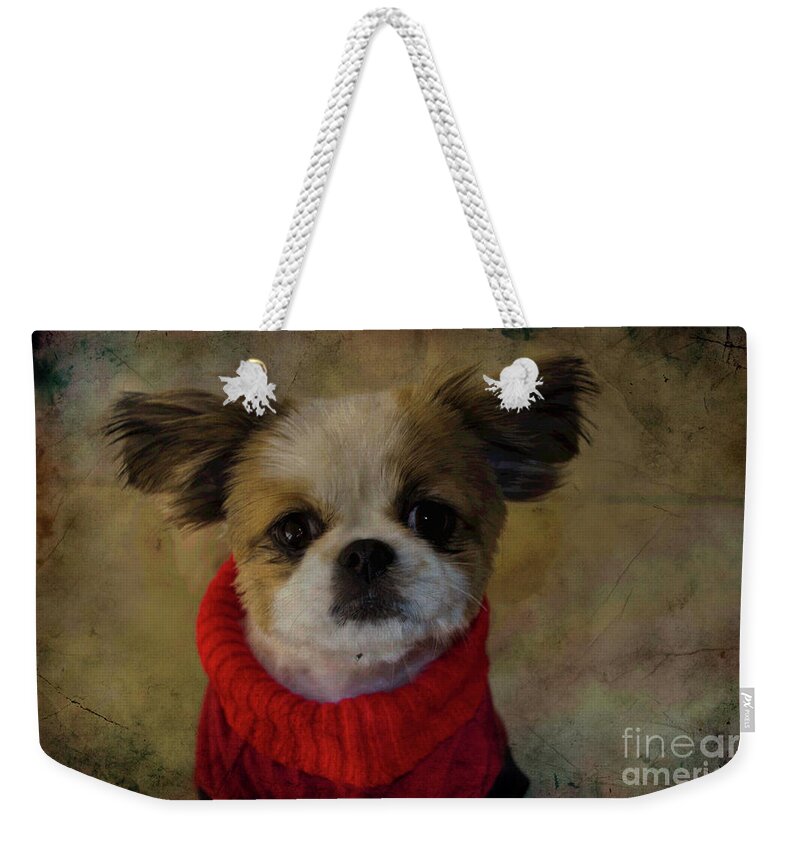 Comfy Weekender Tote Bag featuring the photograph Cozy Sadie by Al Bourassa