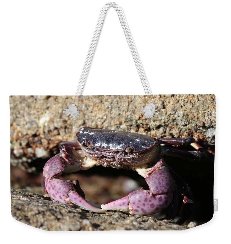 Crab Weekender Tote Bag featuring the photograph Crab 2 by Christy Pooschke