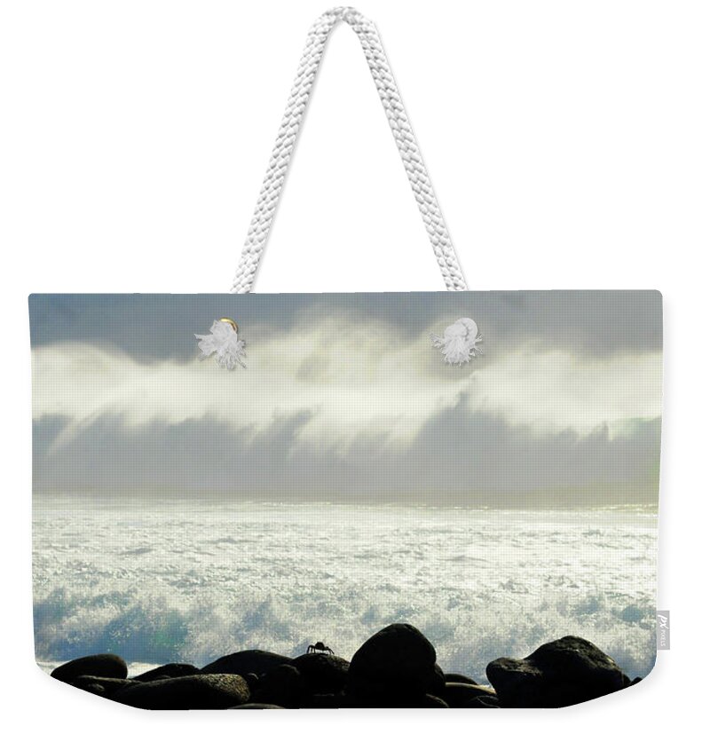 Crab Weekender Tote Bag featuring the photograph Crab Awaiting Impending Wave by Ted Keller