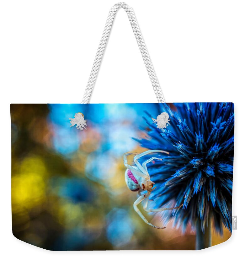 Spider On The Blue Flower Weekender Tote Bag featuring the photograph Crab spider on blue flower by Lilia S