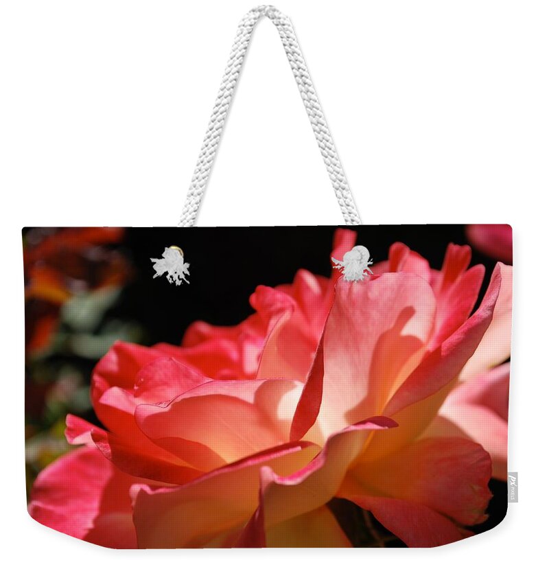 Rose Weekender Tote Bag featuring the photograph Cracklin' Rose by Sandra Lee Scott