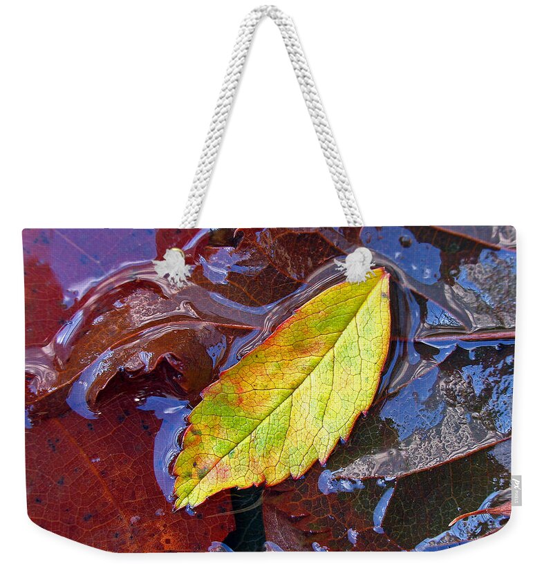 Tree Weekender Tote Bag featuring the photograph Cradled Leaf by Juergen Roth