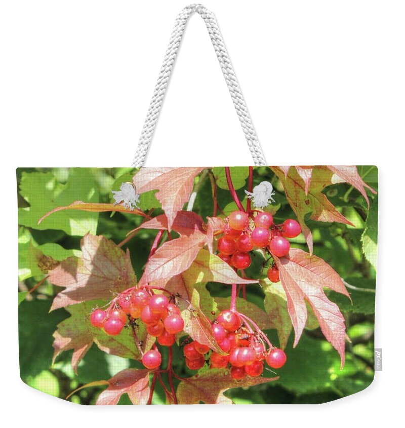 Berries Weekender Tote Bag featuring the photograph Cranberry Cluster by Jim Sauchyn