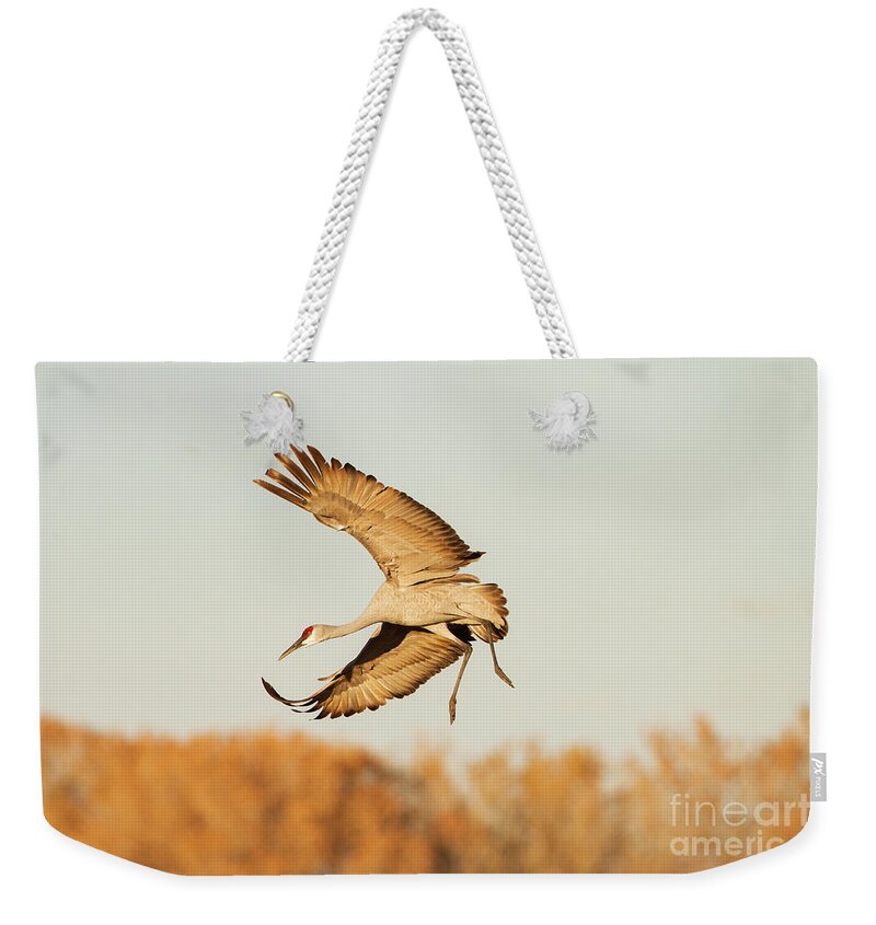 Crane Weekender Tote Bag featuring the photograph Crane ready for landing by Ruth Jolly
