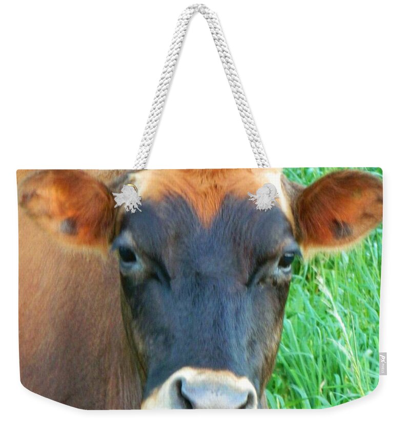 Cows Weekender Tote Bag featuring the photograph Crazy Cow by Gallery Of Hope 