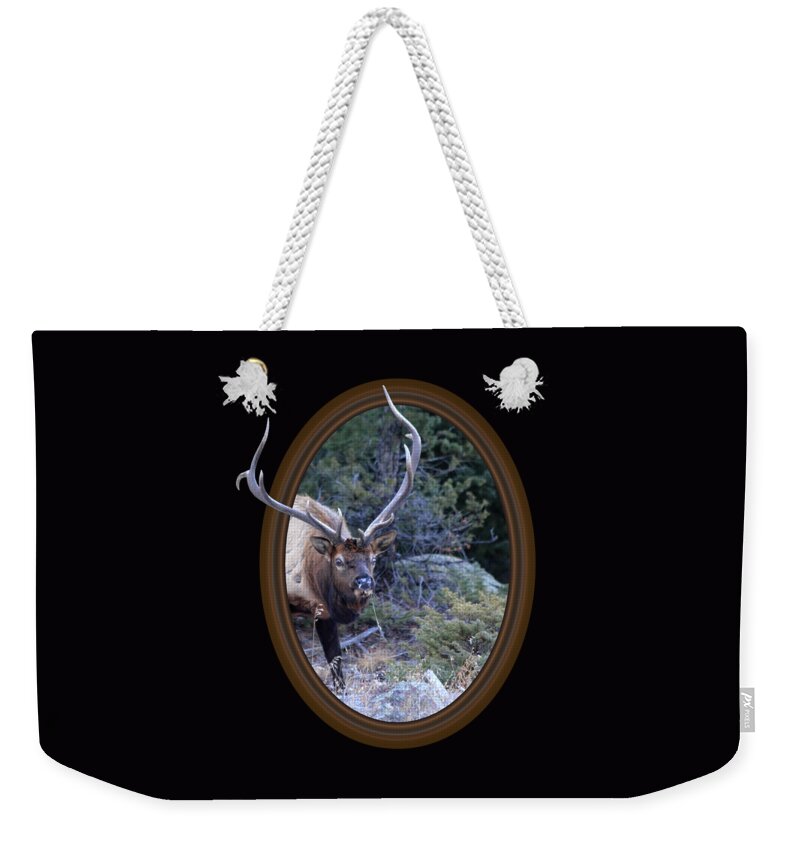 Colorado Weekender Tote Bag featuring the photograph Crazy Eyes by Shane Bechler