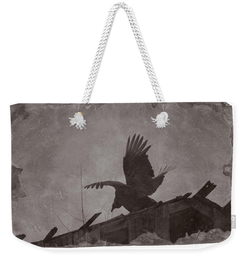 Wildlife Weekender Tote Bag featuring the photograph Creepy Buzzard by John Benedict
