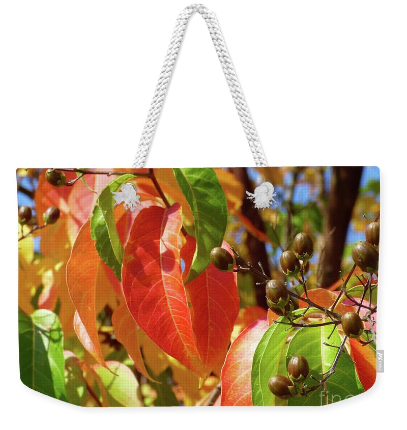 Crepe Myrtle Weekender Tote Bag featuring the photograph Crepe Myrtle Autumn color by Jean Wright