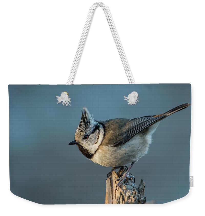 Crest Weekender Tote Bag featuring the photograph Crest by Torbjorn Swenelius