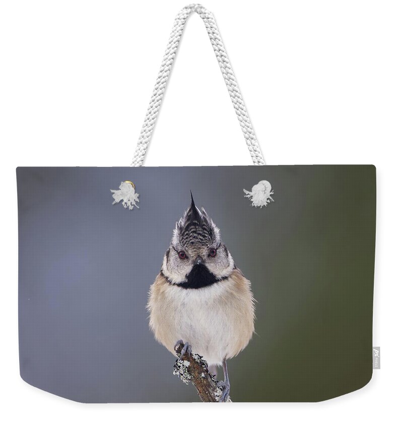 Crested Weekender Tote Bag featuring the photograph Crested Tit by Pete Walkden