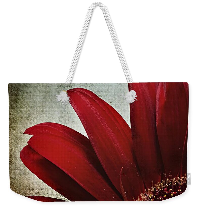 Chrysanthemum Weekender Tote Bag featuring the photograph Crimson Drama Queen by Melissa Bittinger