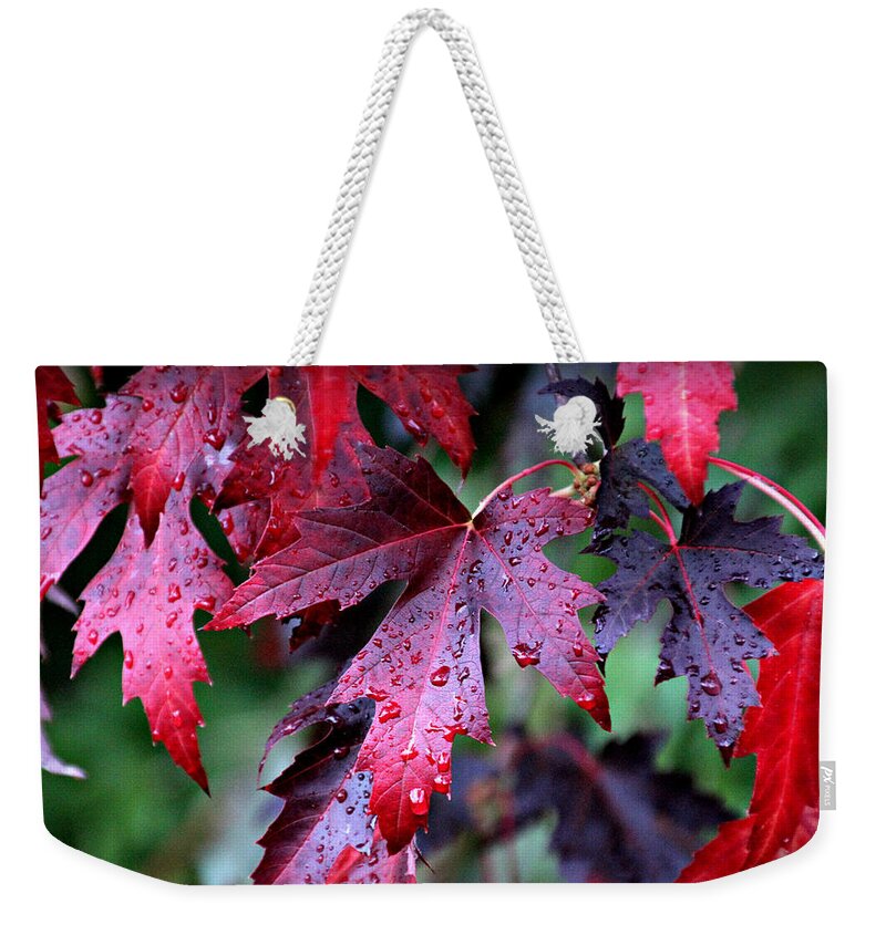 Oregon Weekender Tote Bag featuring the photograph Crimson Leaves by KATIE Vigil