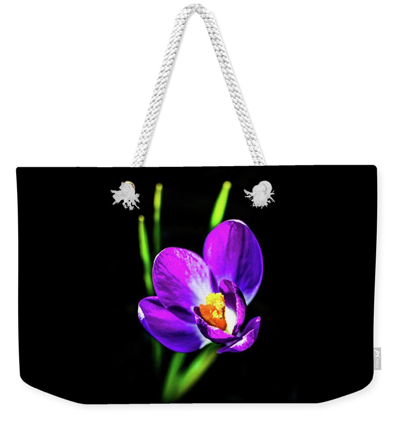 Flower Weekender Tote Bag featuring the pyrography Crocus 2018-2 by Barry Wills