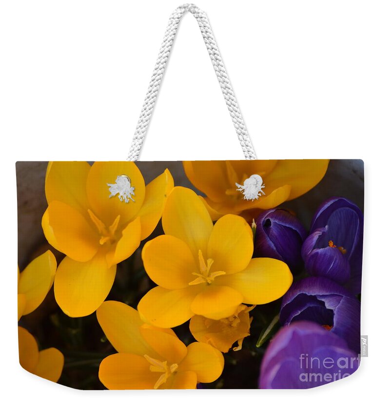 Saffron Weekender Tote Bag featuring the photograph Crocus tommasinianus by Nona Kumah