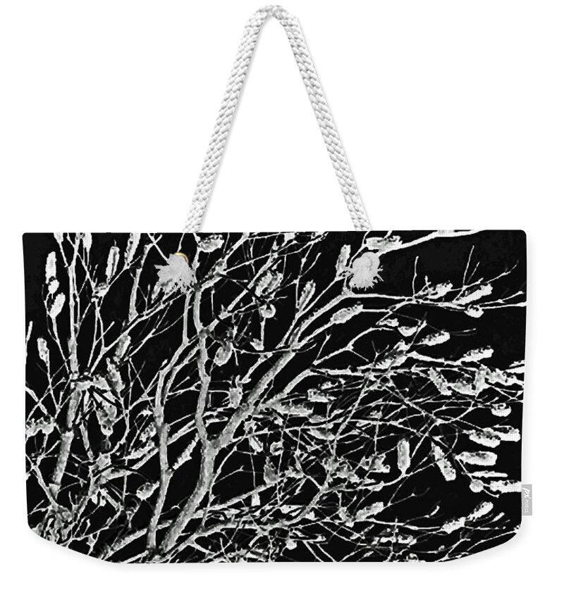 Australia Weekender Tote Bag featuring the photograph Cronulla Tree No. 62-2 by Sandy Taylor