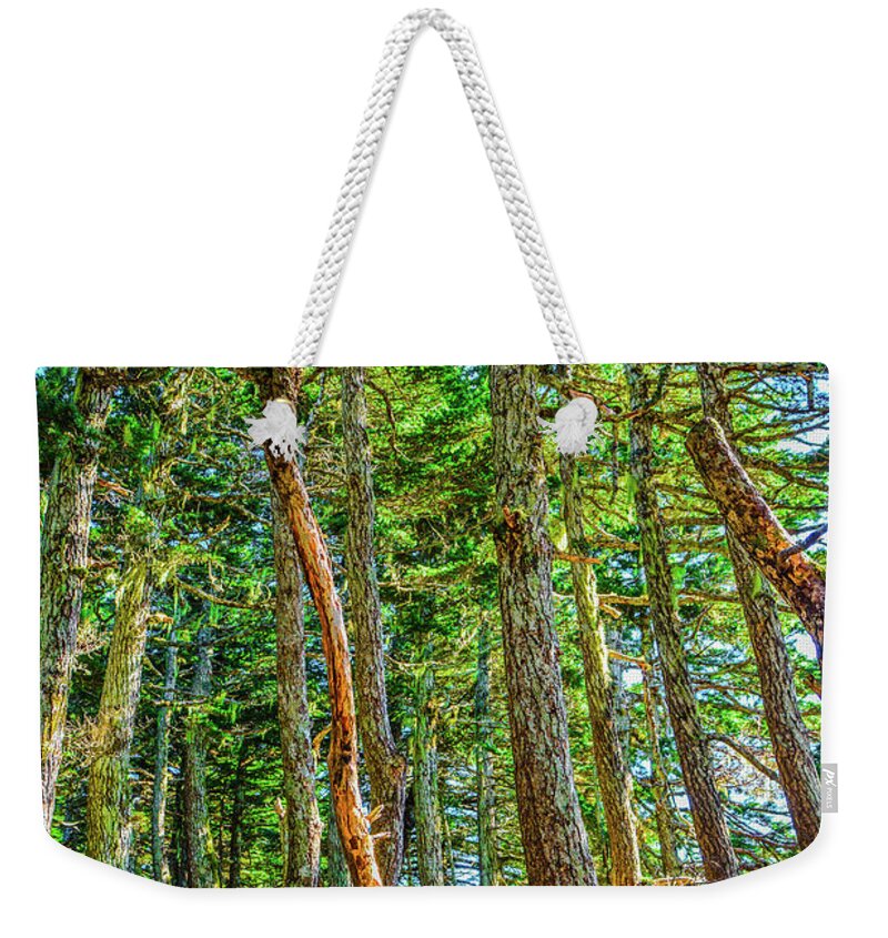 Nature Weekender Tote Bag featuring the photograph Crooked Trees of Mt Roberts by Jason Brooks