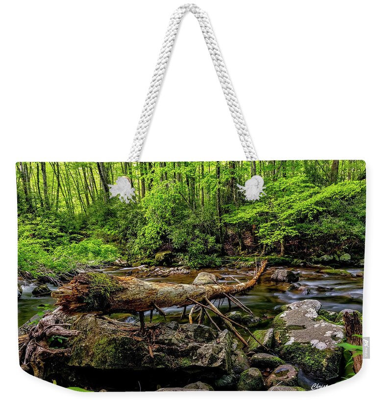 Stream Weekender Tote Bag featuring the photograph Crossing The Stream by Christopher Holmes