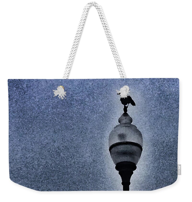 Crow Weekender Tote Bag featuring the photograph Crow at rest by Barry Bohn