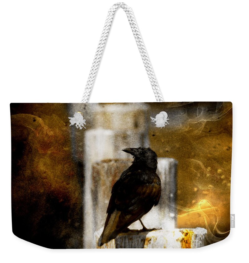 Crow Weekender Tote Bag featuring the photograph Crow in Shadows by Stoney Lawrentz