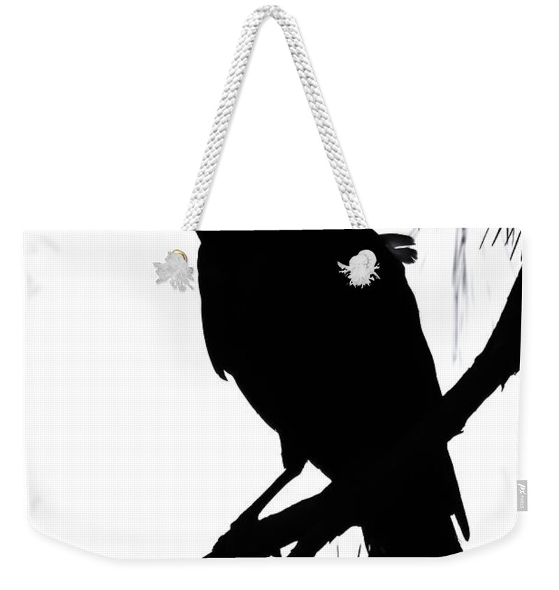  Common Crow Weekender Tote Bag featuring the photograph Crow Silhouette by Patricia Schaefer