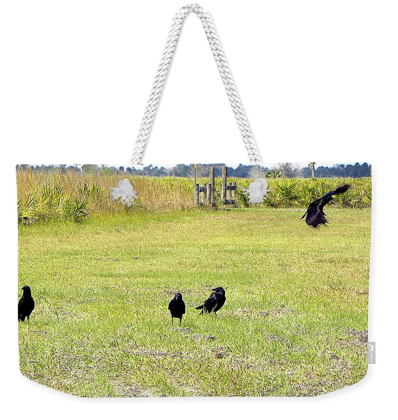 American Crow Weekender Tote Bag featuring the photograph Crows by Christopher Mercer