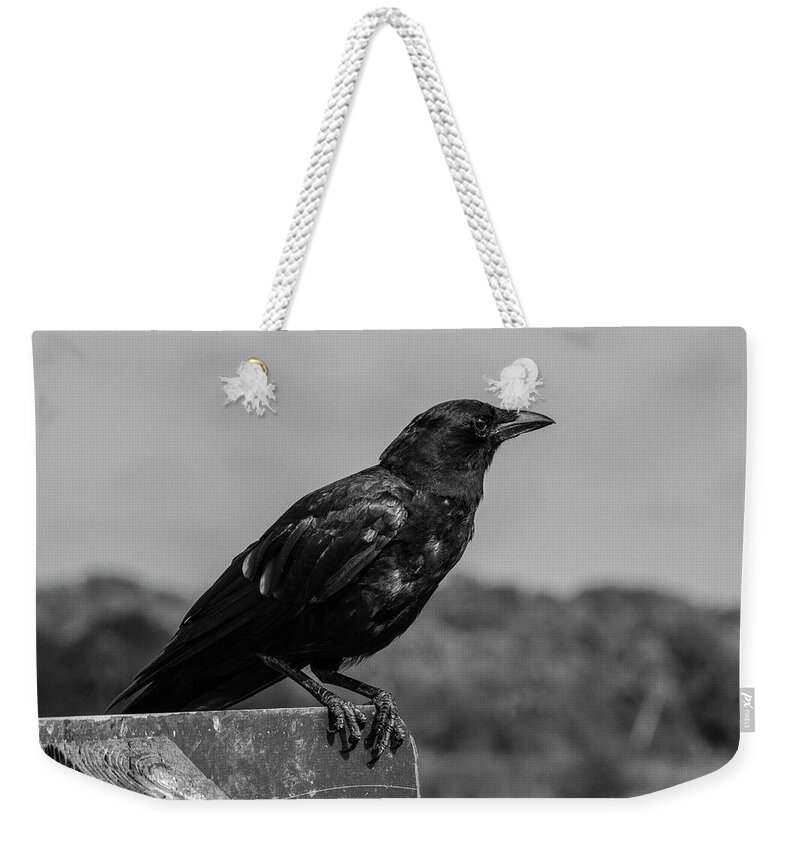Photo For Sale Weekender Tote Bag featuring the photograph Crow's Feet by Robert Wilder Jr