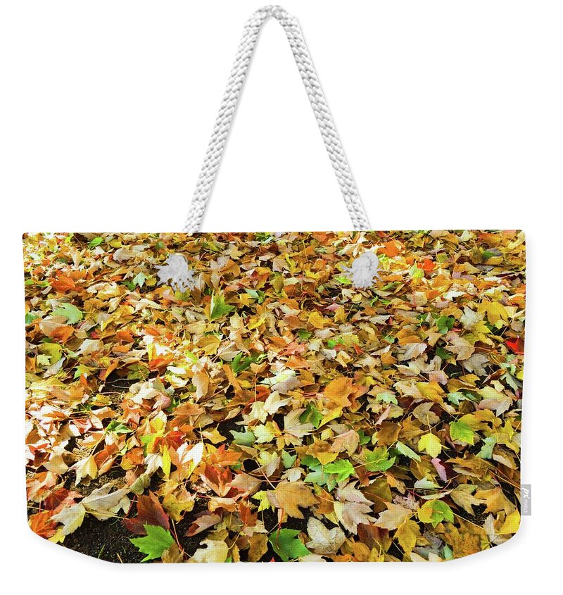Landscape Weekender Tote Bag featuring the photograph Crunchy Autumn Leaves by Aparna Tandon