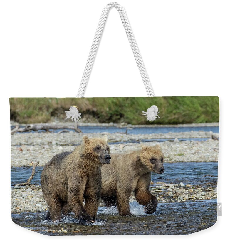 Alaska Weekender Tote Bag featuring the photograph Cubs on the Prowl by Cheryl Strahl