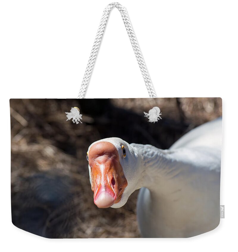Goose Weekender Tote Bag featuring the photograph Curious Goose by Kenneth Albin