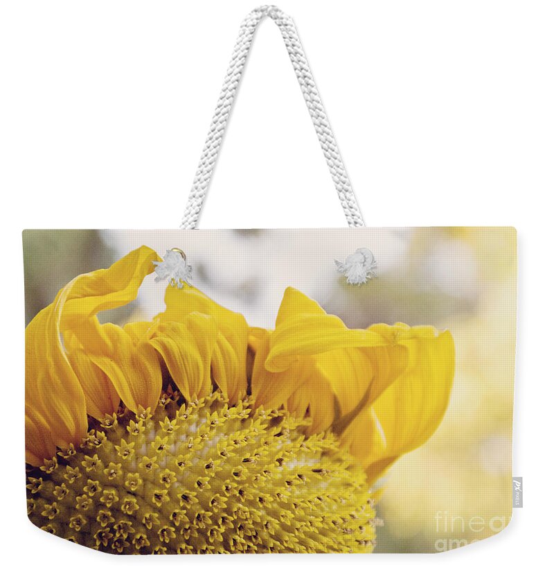 Delicate Weekender Tote Bag featuring the photograph Curling petals on sunflower by Cindy Garber Iverson