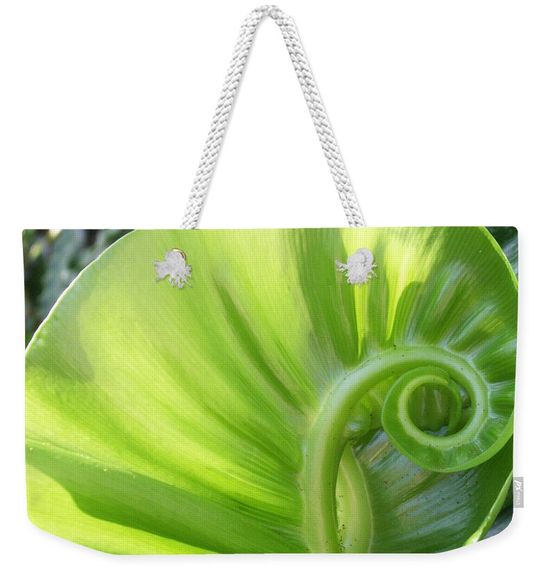 Leaf Weekender Tote Bag featuring the photograph Curly Leaf by Amy Fose