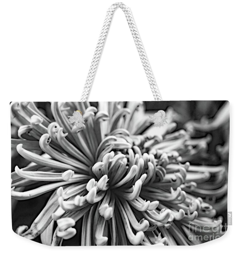 Floral Weekender Tote Bag featuring the photograph Curly by Mary Haber