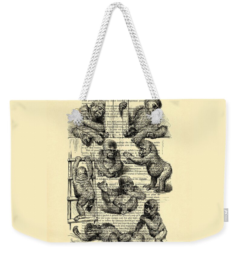 Gorilla Weekender Tote Bag featuring the digital art Baby Monkeys Playing Black And White Antique Illustration by Madame Memento