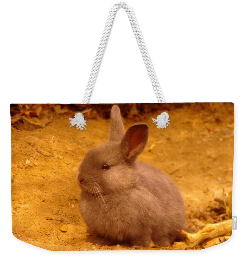 Bunny Weekender Tote Bag featuring the photograph Cute Bunny by Jeff Swan