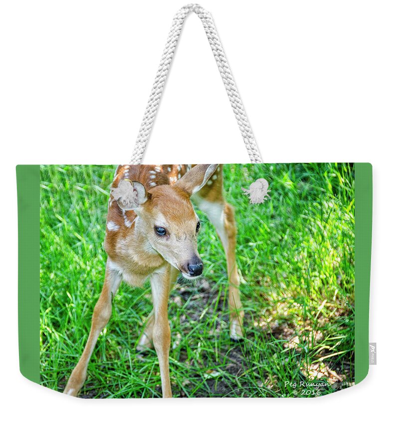Fawn Weekender Tote Bag featuring the photograph Cutie Pie by Peg Runyan