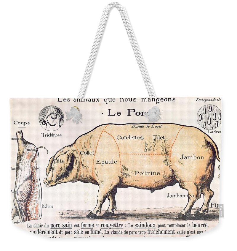 Eating;farm Animals; Cross Section; Loin; Rump; Flank; Butcher; Joint; Pig; Pigs; Shoulder; Ham; Belly; Shoulder; Diagram; Slaughter; Farming; Food Preparation; Domestic Science; Nutrition;teaching;education;home Economics; Farming; Breed;butchering Weekender Tote Bag featuring the drawing Cuts of Pork by French School