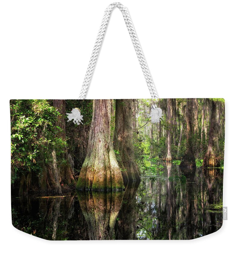 Abstract Weekender Tote Bag featuring the photograph Cypress by Alex Mironyuk