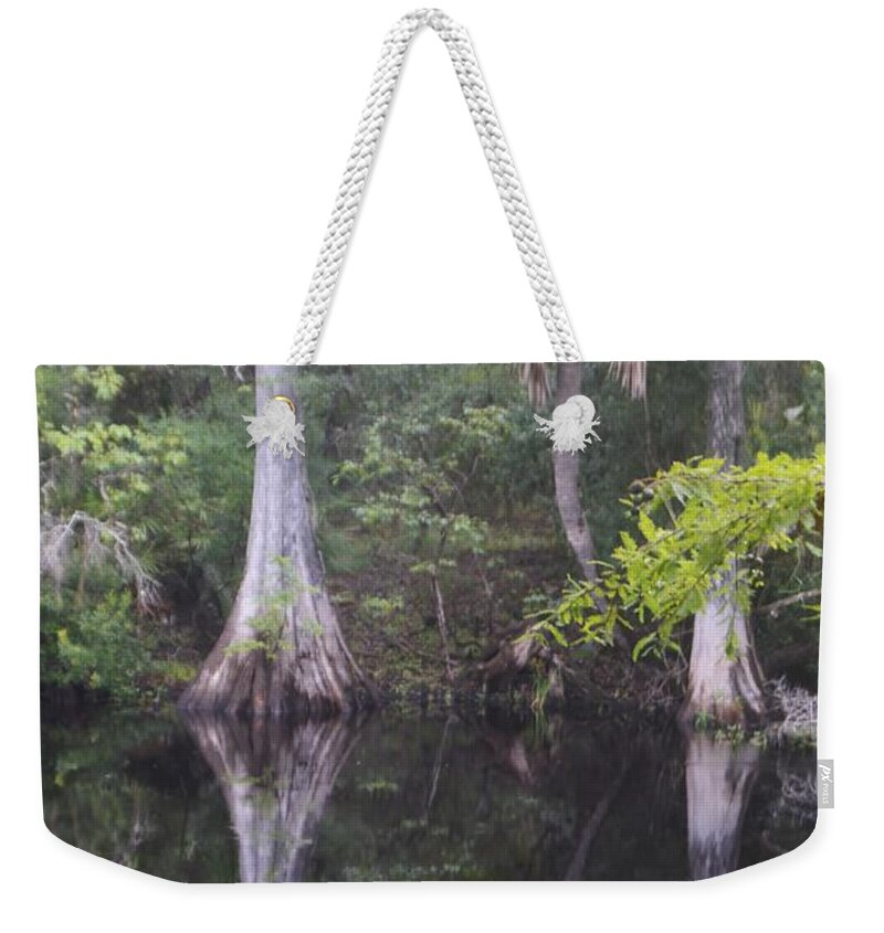 Cypress And Palm Reflections Weekender Tote Bag featuring the photograph Cypress and Palm Reflections by Warren Thompson